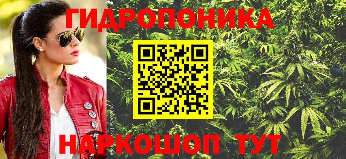 Канабис Bruce Banner  Конопля сатива  Вход с VPN  Бошки марихуана OG Kush  Скопин 